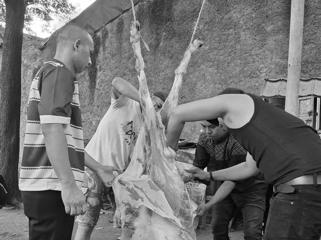 pemotongan hewan qurban IMMTI Tri Bhakti