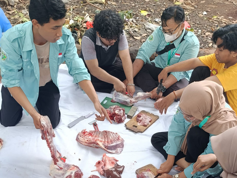 pemotongan hewan qurban IMMTI Tri Bhakti